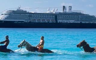 HOLLAND_Ship_Horses